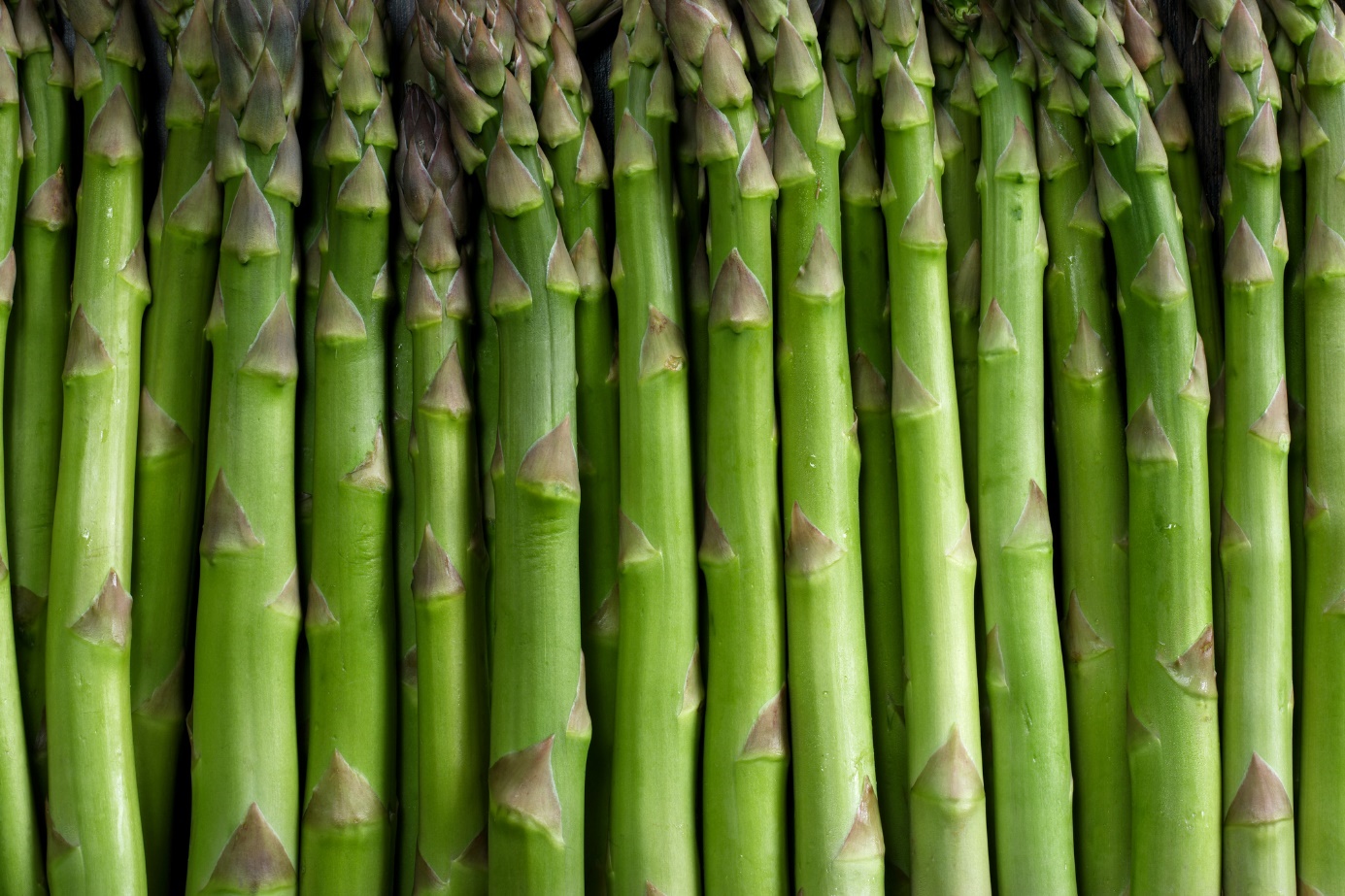 Chřest - Asparagus officinalis