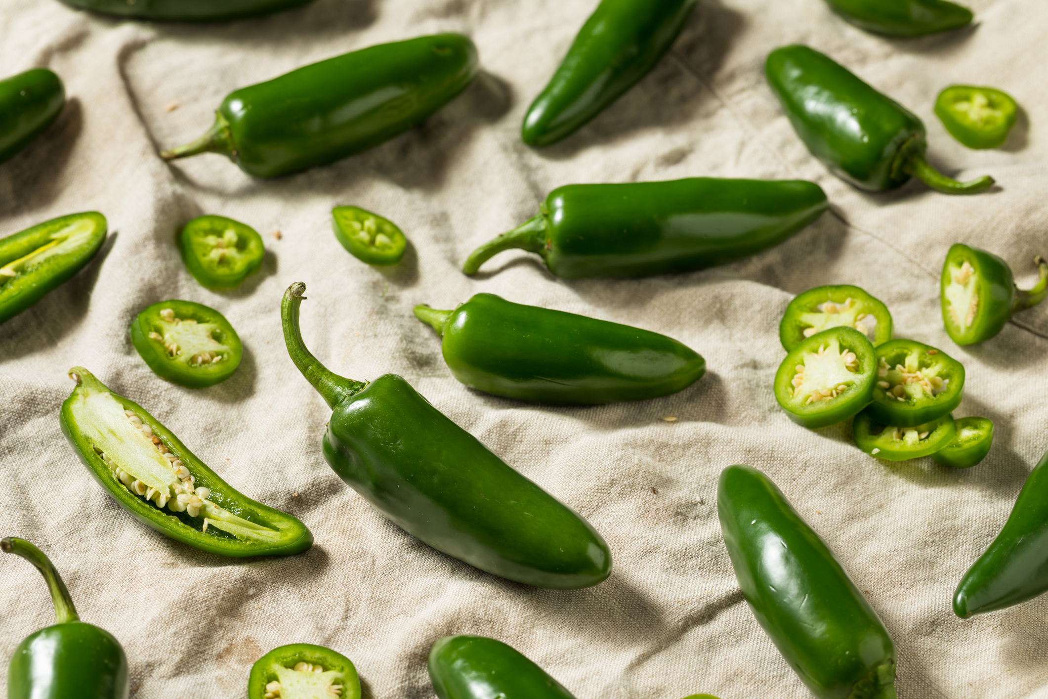 Odrůda: Jalapeňo, druh: Paprika setá (Capsicum annuum)