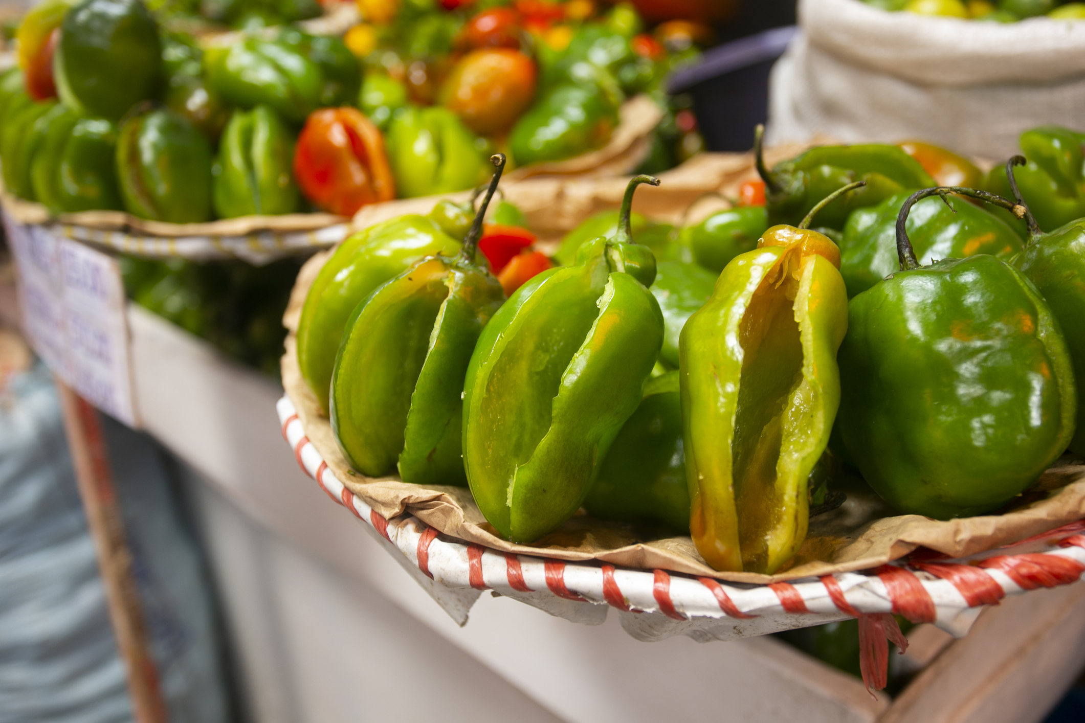 Odrůda: Rocoto, druh: Capsicum pubescens 