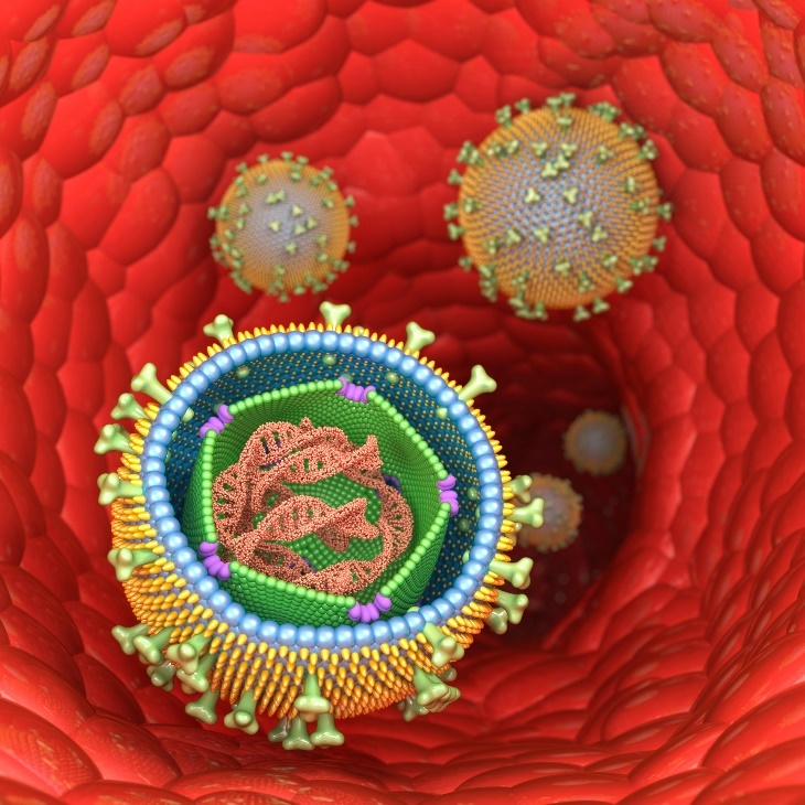 3D zobrazení struktury viru Epstein-Barrové (infekční mononukleózy) v buňkách lidského organismu