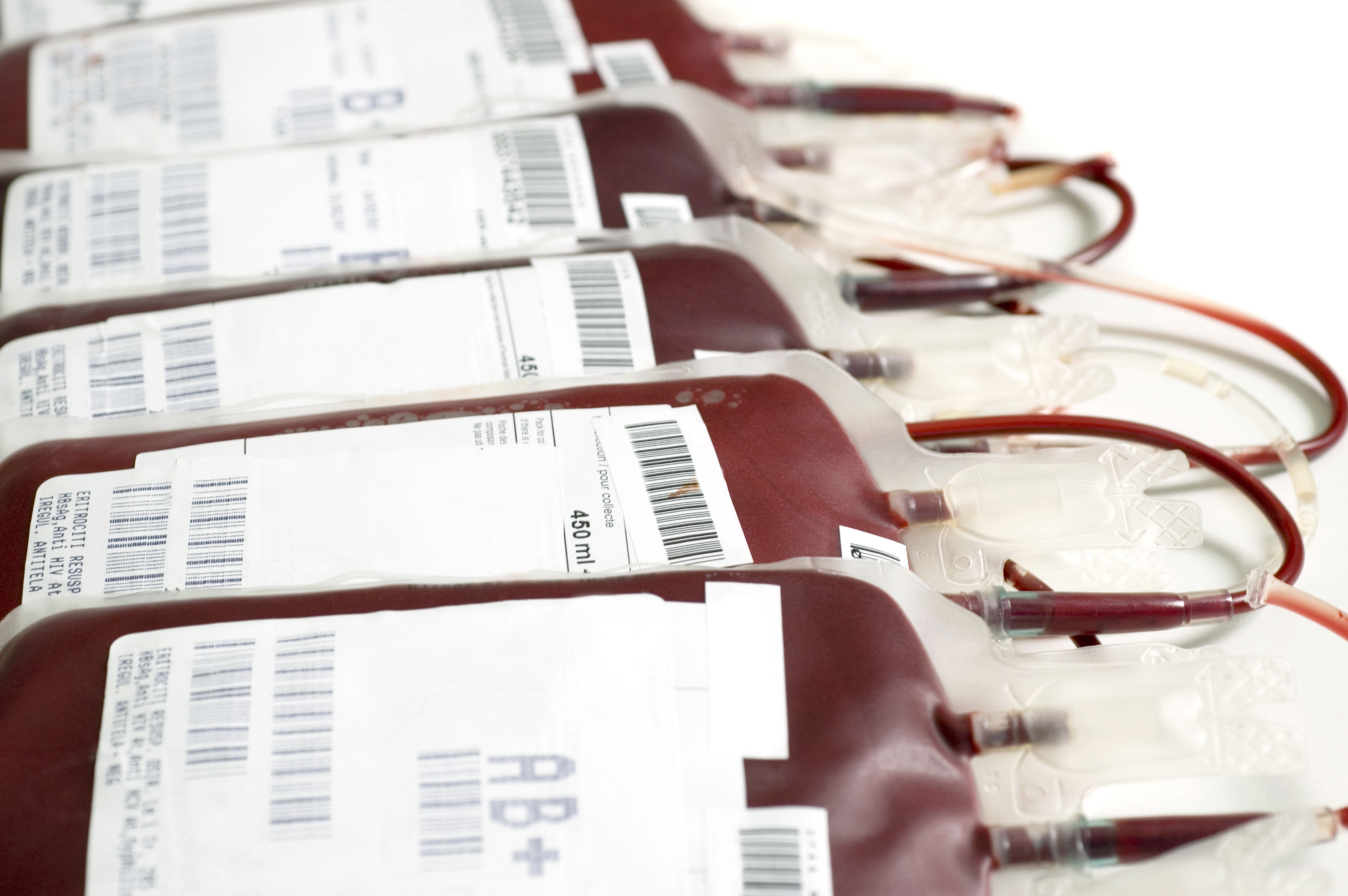 Krev připravená k transfuzi