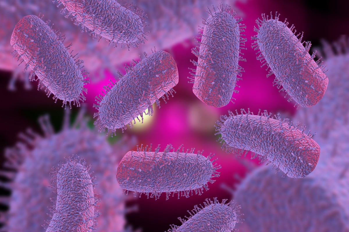 Lyssavirus - Lyssa virus - 3D zobrazení virů vztekliny