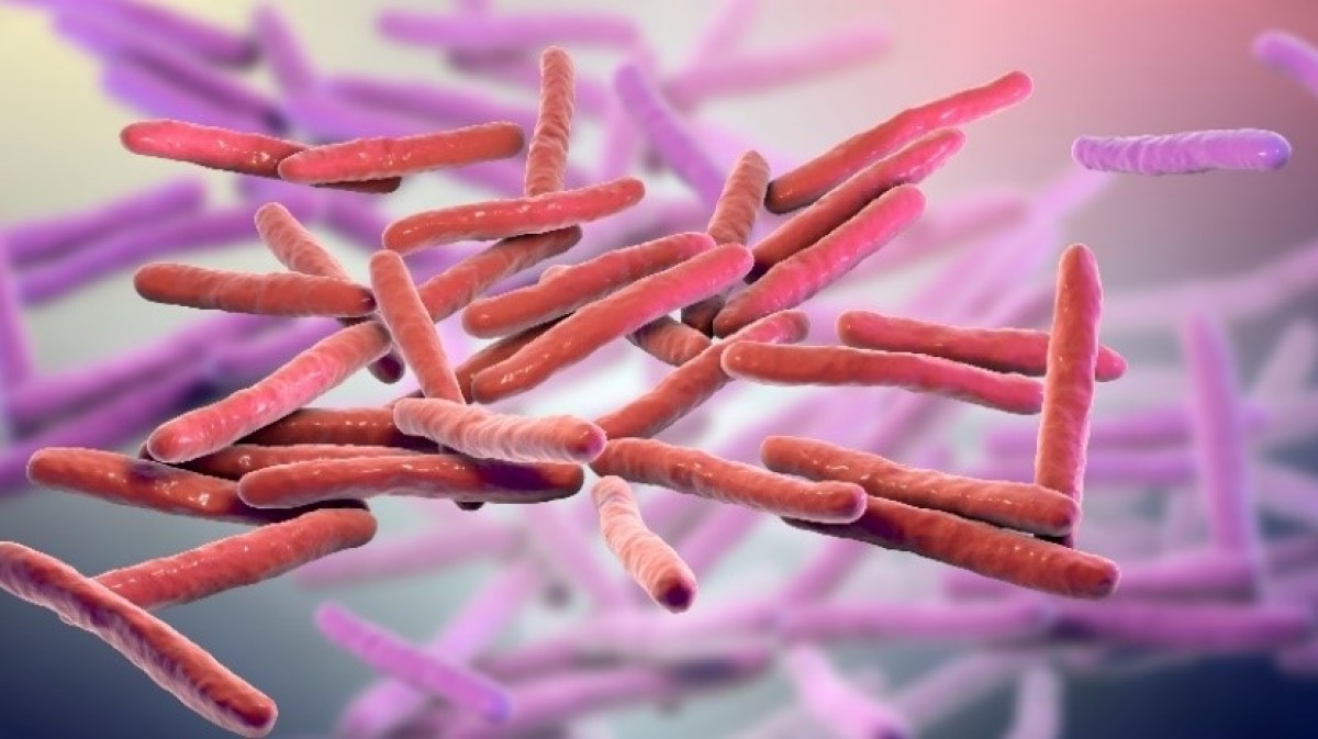 3D vizualizace mikrokosmu Mycobacterium leprae (bakterie lepry)