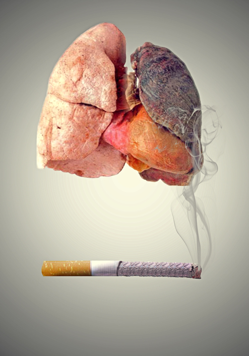 Plíce zničené kouřením a rakovinou - symbolické znázornění