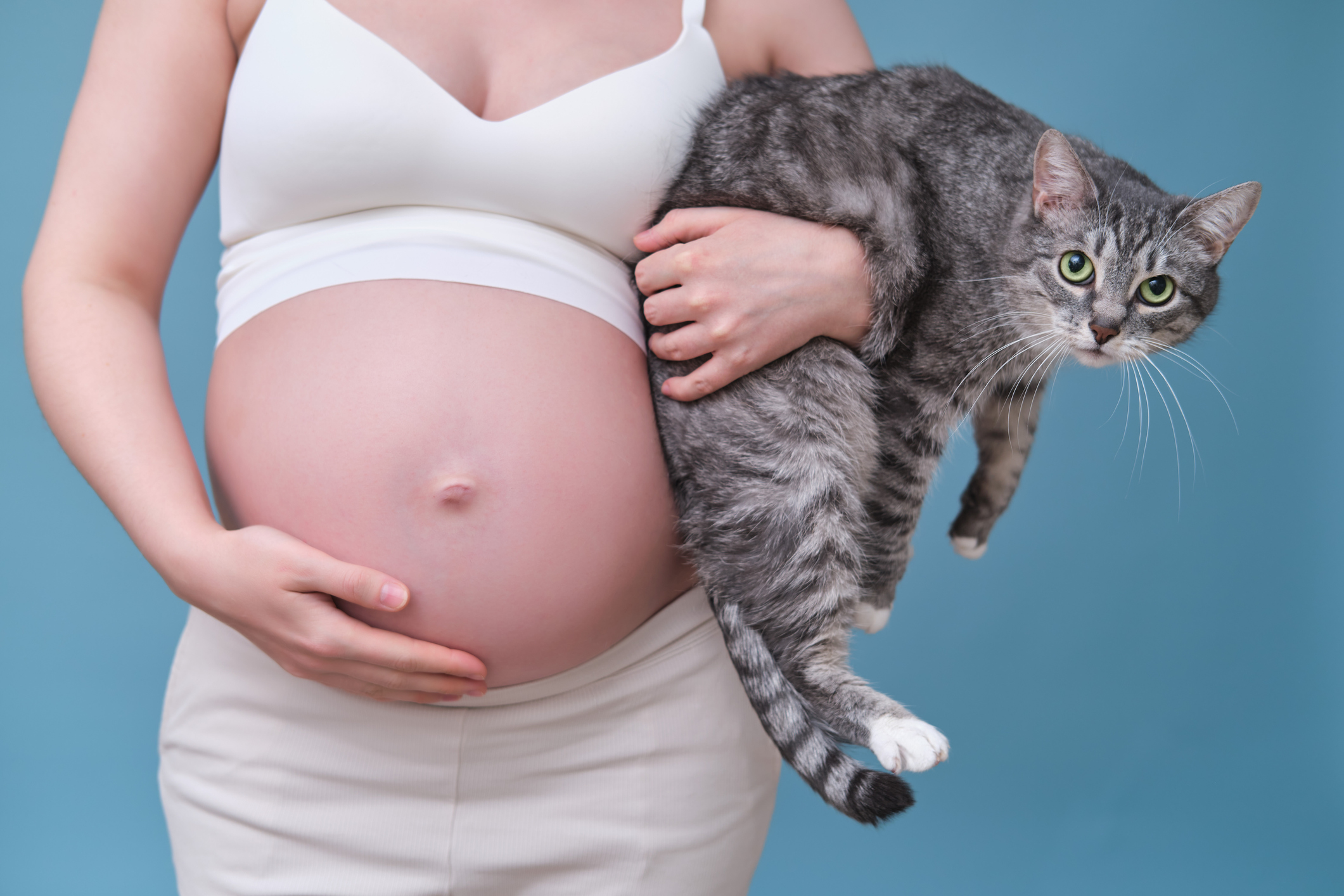 Těhotná žena držící kočku