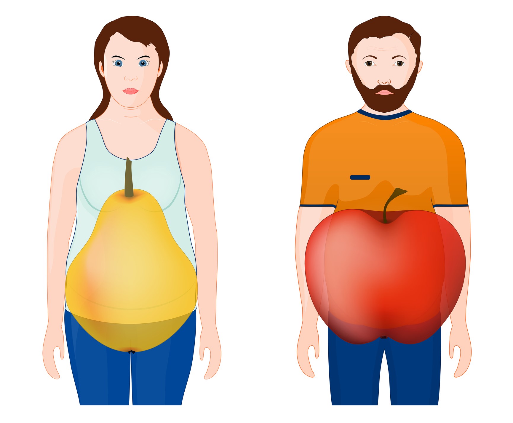 Animovaný obrázek ukazuje tvar těla - žena, hruška, muž, jablko