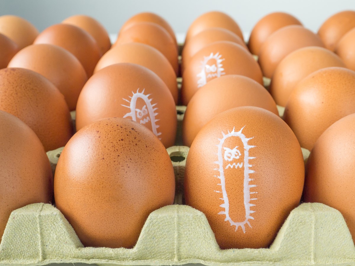 Salmonela nakreslená na vajíčku, obal s vajíčky