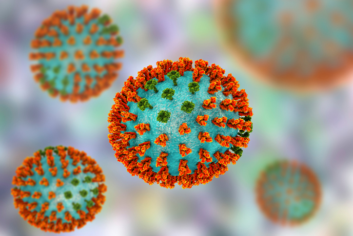 Model virusu chřipky