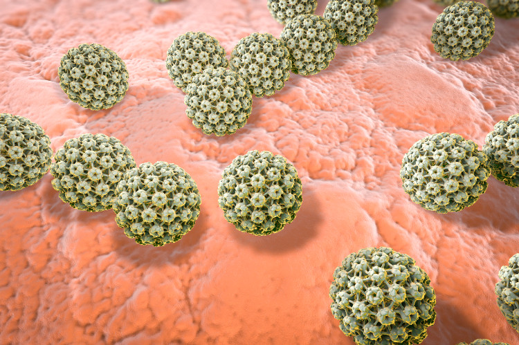 virové bunky HPV viru napadající zdravou tkán