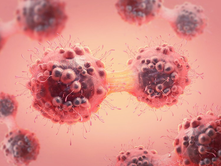 delení nádorových bunek, schematické znázornení