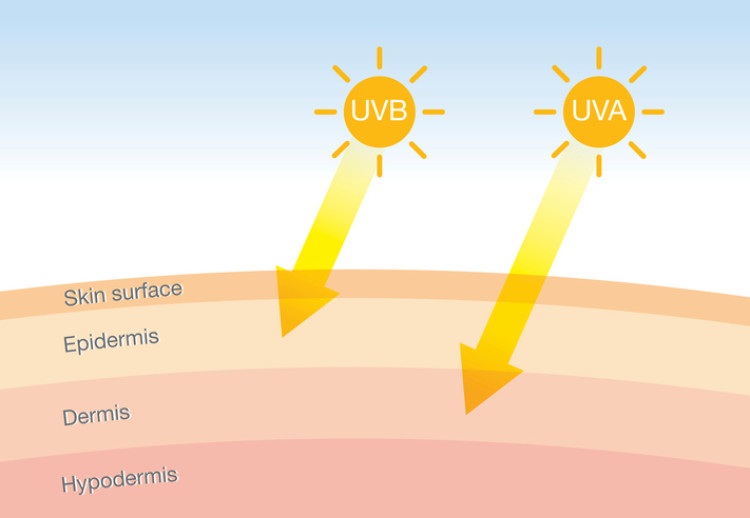 ultrafialové záření pronikající pokožkou, schematické znázornění