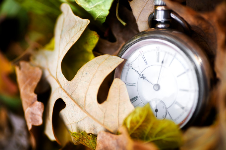 rucickové hodiny položené v podzimním listí