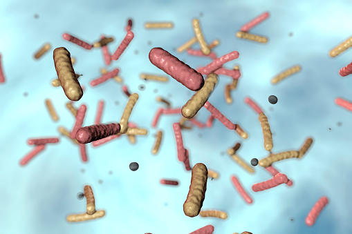 mikroskopicky znázorněné tyčinkové bakterie
