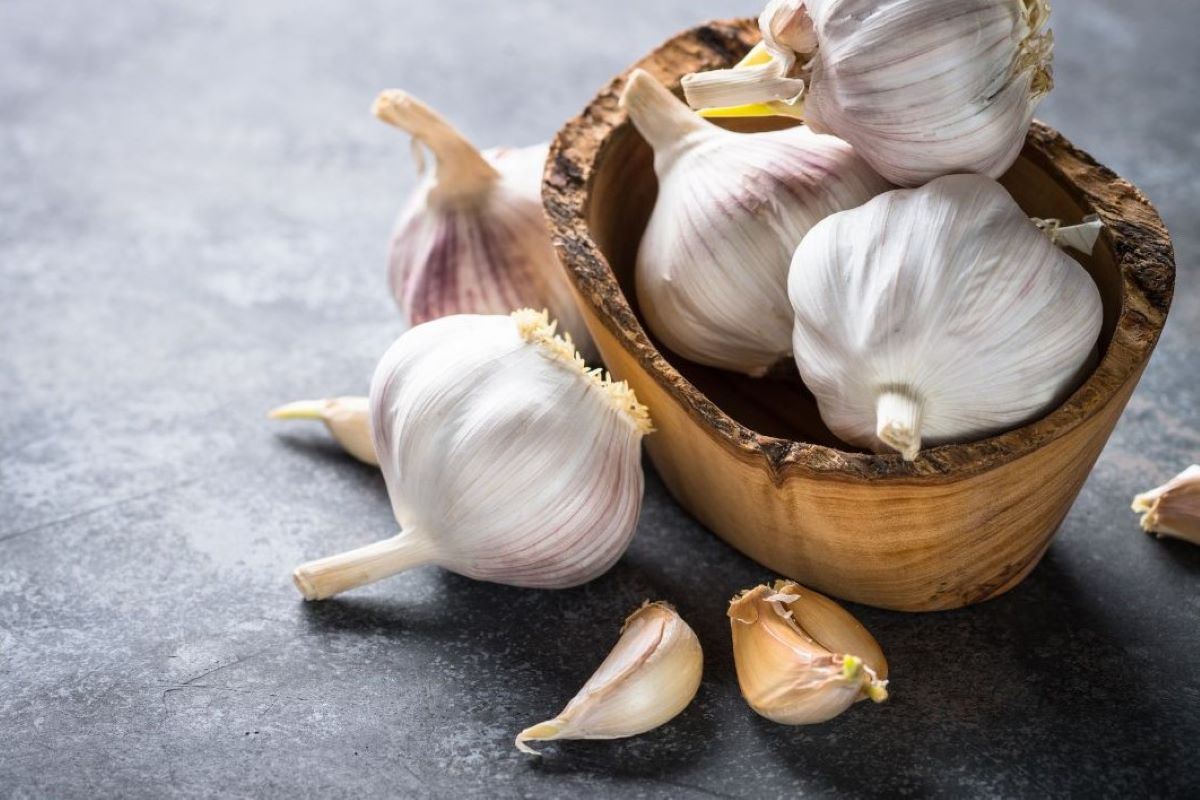 Česnek je známý svými přírodními antibiotickými a protiplísňovými účinky. Zdroj fotografií: Canva Česnek je známý svými přírodními antibiotickými a protiplísňovými účinky. Zdroj fotografií: Canva