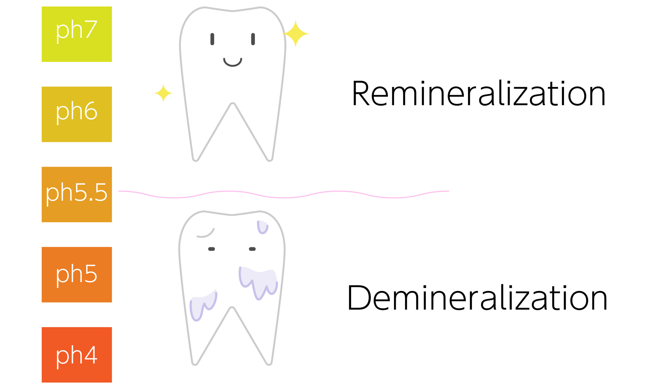 Za kritickou hodnotu pH slin se považuje hodnota 5,5. Při této hodnotě začíná proces demineralizace zubní skloviny.