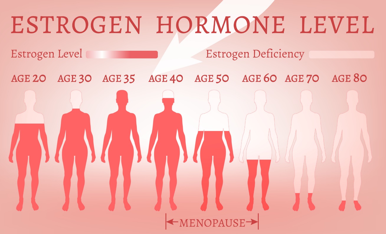 Hladiny estrogenu v závislosti na věku