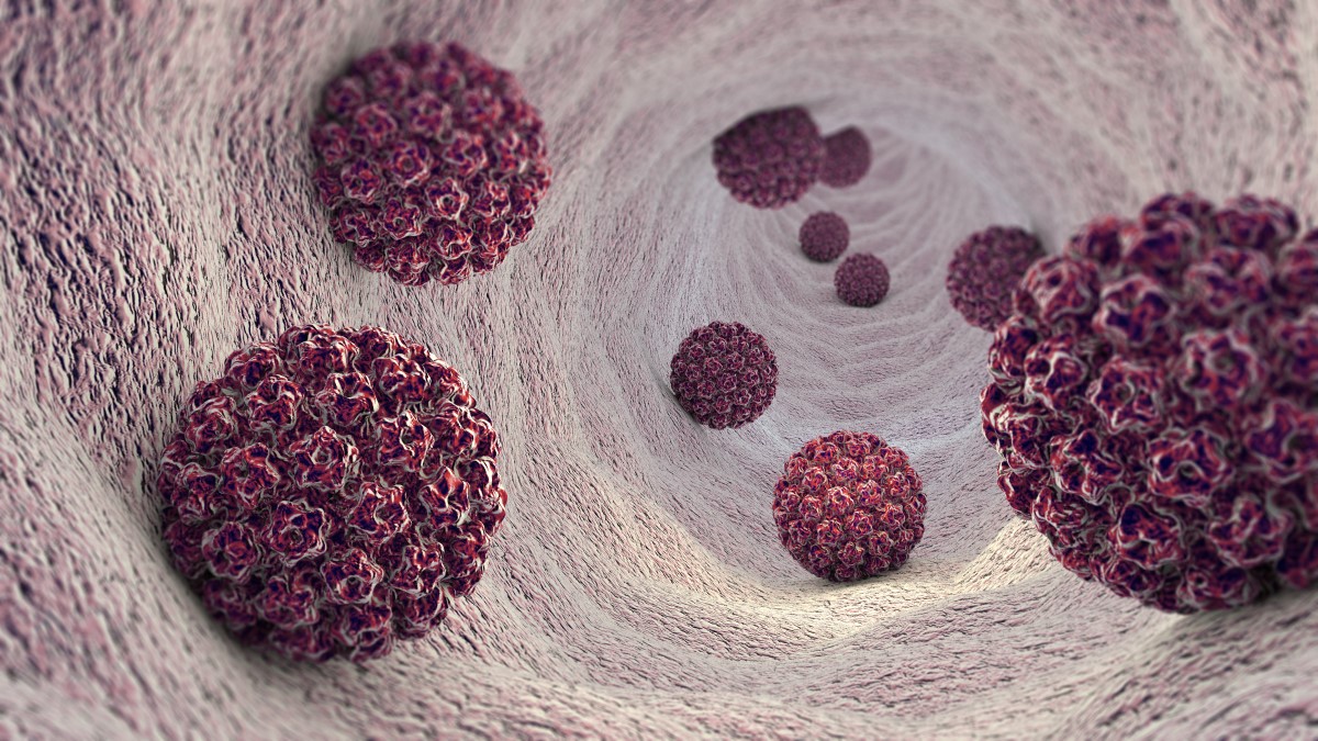 HPV - lidský papilomavirus