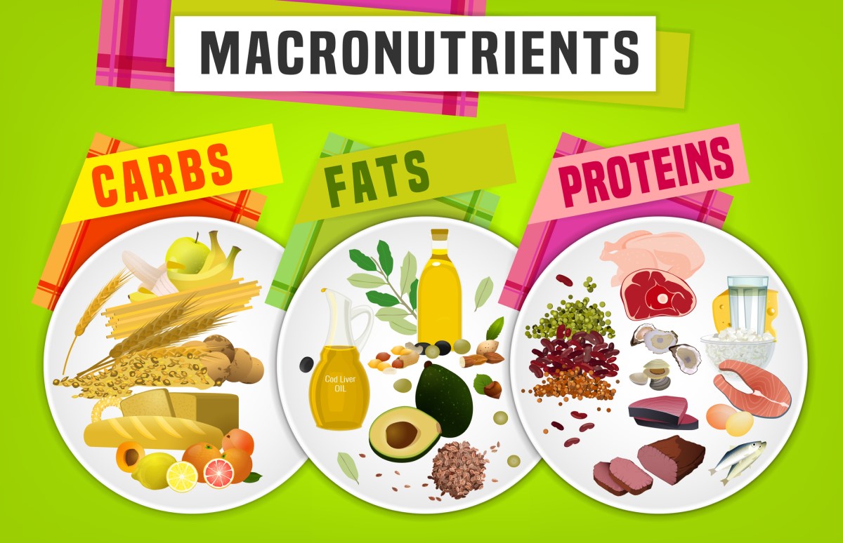 Makronutrienty - cukry, tuky, bílkoviny - animace talířů a potravin s danými živinami