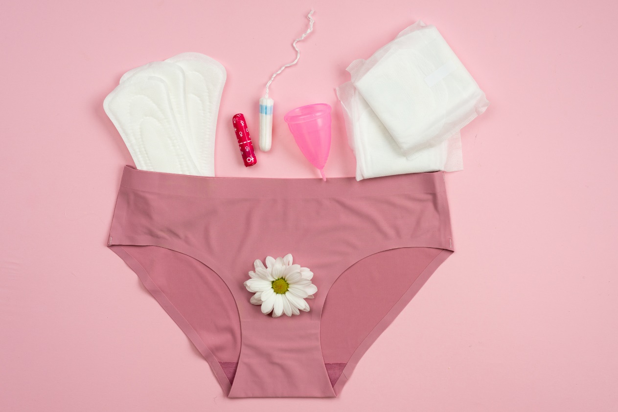 Výběr menstruačních hygienických pomůcek
