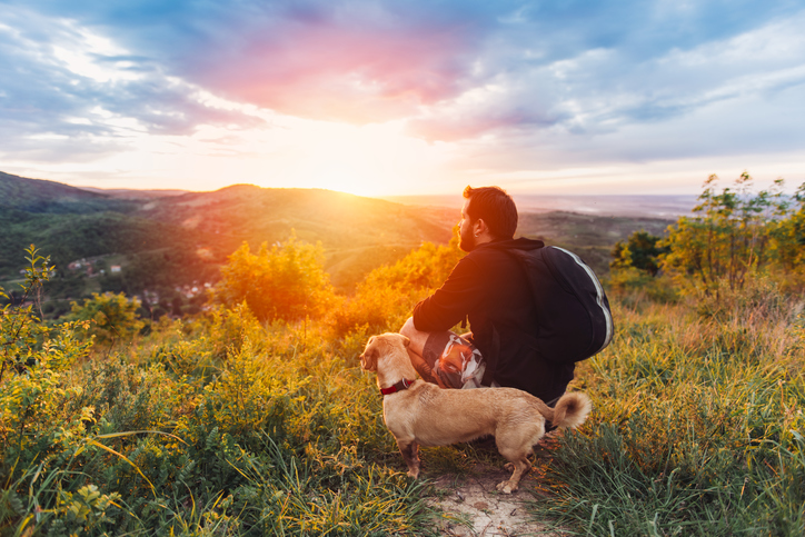 Muž se psem v přírodě, sledující východ slunce