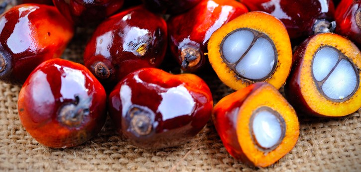 Plody palmy olejné, dužina, jádro, z dužiny se vyrábí palmový olej, z jádra jádropalmový olej