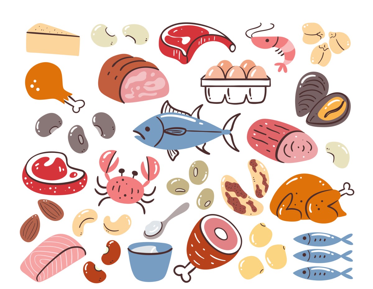 Zdroje bílkovin v potravinách - animovaný obrázek