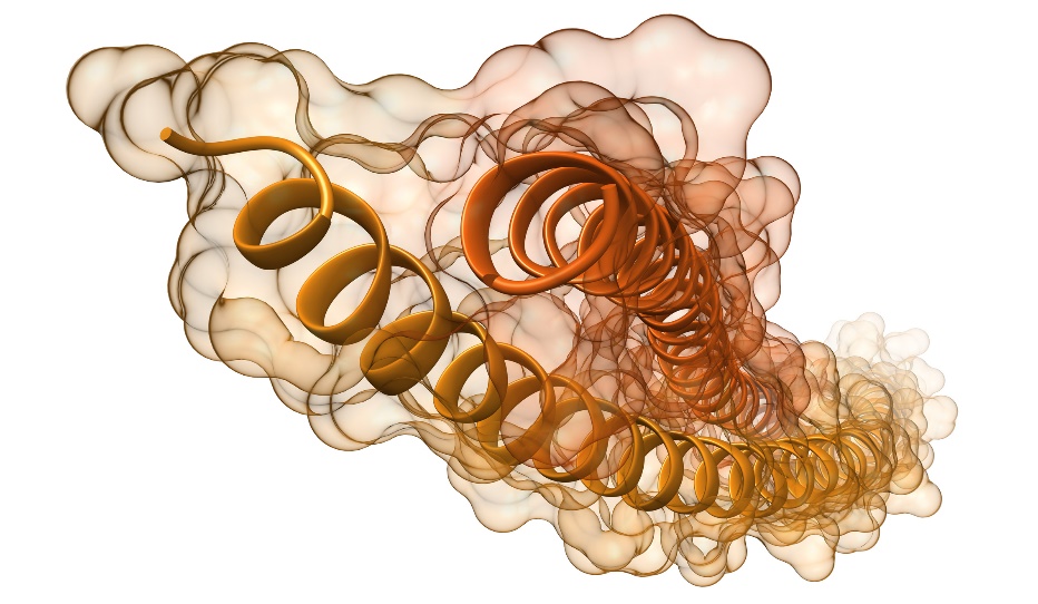 Vizualizace filament a šroubovic proteinu keratinu