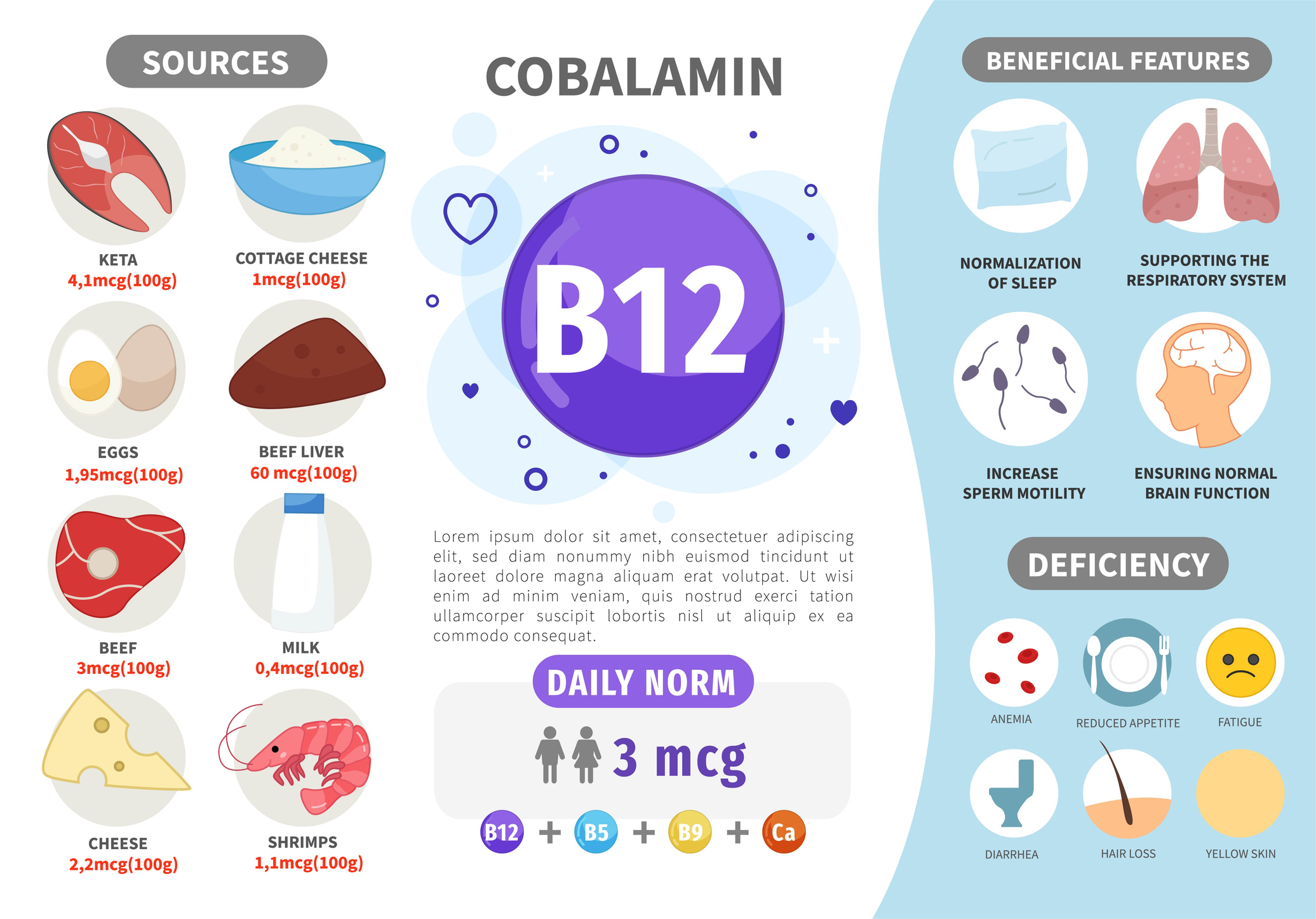 Zdroje vitaminu B12