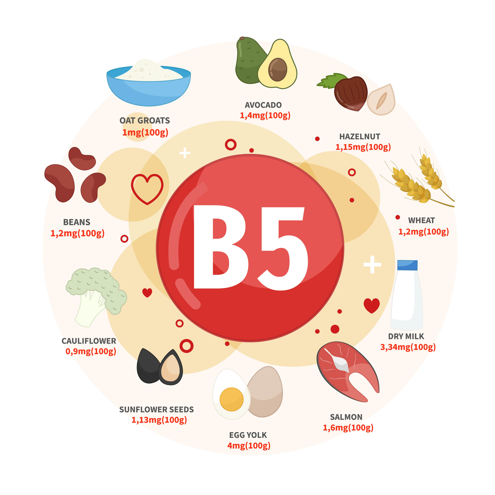 Mezi nejlepší zdroje vitaminu B5 patří avokádo, lískové oříšky, pšenice, mléko, losos, vejce, slunečnicová semínka, květák, fazole, ovesné vločky. 