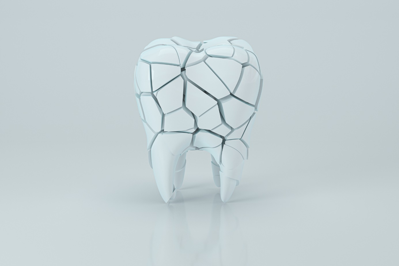 Zub a znázornění zubních kanálků - anatomické schematické znázornění