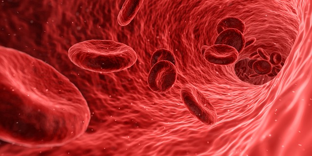 krev, červená barva, červená krvinka