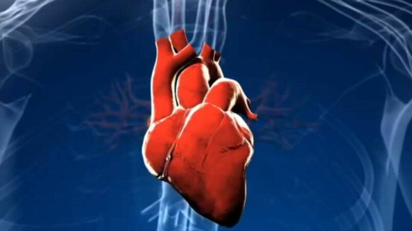 Fibrilace síní srdce: Co je to a jak se projevuje porucha rytmu?
