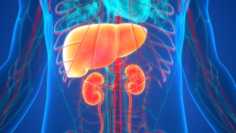 Hepatorenální syndrom a jeho příčiny, příznaky na jednom místě