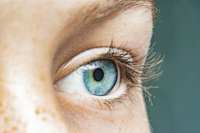 Odchlípení sítnice: Jaké příčiny a příznaky má poškozená sítnice oka?