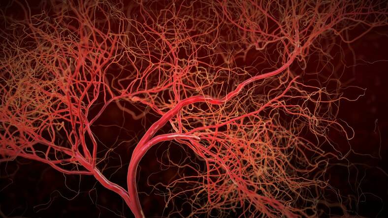 Co jsou vaskulitidy a co je příčinou zanícených cév? + Příznaky, léčba