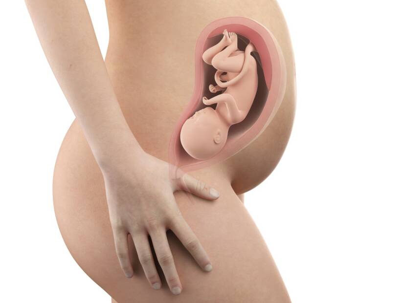 33. týden těhotenství: Kdy se prostor v děloze zmenšuje?