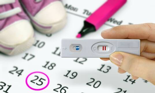 Ovulace, výpočet plodných a neplodných dnů. Jak plánovat těhotenství?