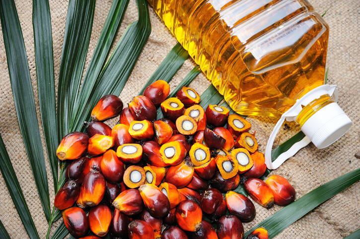 Palmový olej a vliv na zdraví: Proč bychom ho neměli používat?