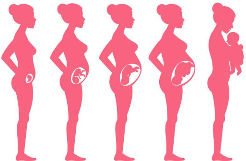 Tehotenství po týdnech: Jak probíhá tehotenství a vývoj plodu?