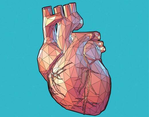 Zvětšení srdce: Z důvodu chorobné příčiny či pro sport? (Kardiomegalie)