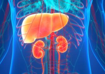 Hepatorenální syndrom a jeho příčiny, příznaky na jednom místě