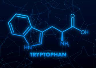 L-tryptofan a jeho účinky na organismus. Pomáhá k dobré náladě a spánku?