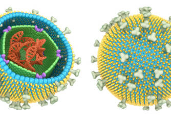 Mononukleóza: virus Epstein-Barrové - EBV - jak ho neznáme? + Příznaky