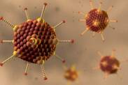Adenovirová infekce: Co je adenovirus, jaký je jeho přenos a příznaky?
