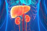Hepatorenální syndrom a jeho příčiny, příznaky na jednom místě