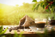Káva: Jaké jsou druhy kávy? Vliv nejen na hubnutí + kofein a jeho obsah