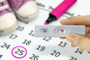 Ovulace, výpočet plodných a neplodných dnů. Jak plánovat těhotenství?