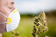 Pylová sezóna útocí: Alergie na pyl, projevy, lécba? Pylový kalendár