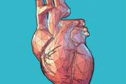 Zvětšení srdce: Z důvodu chorobné příčiny či kvůli sportu? (Kardiomegalie)